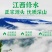 江西修水原生态野生古树青钱柳颗粒金钱柳嫩叶养生茶