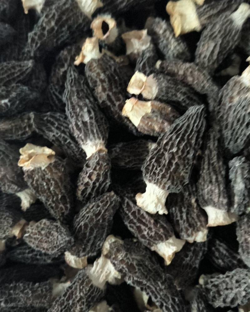 羊肚菌干品