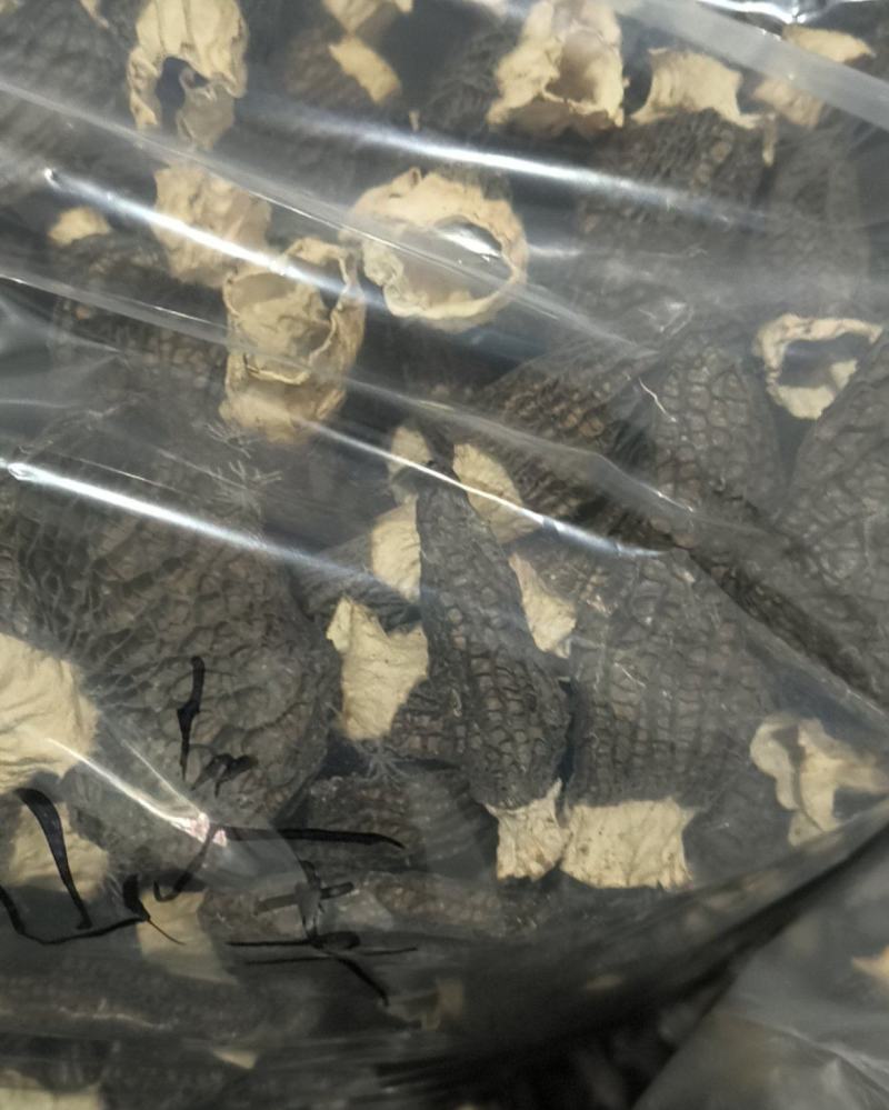 羊肚菌干品