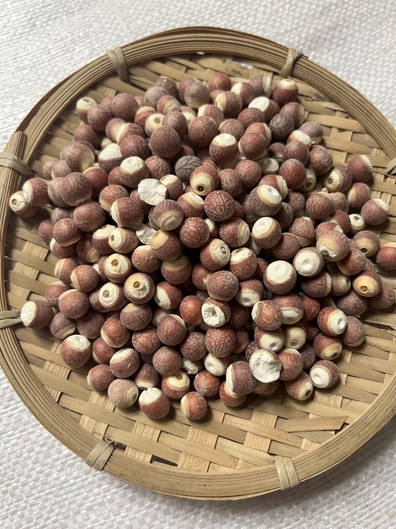 芡实大粒整粒广东1公斤起批无硫无添加不包邮