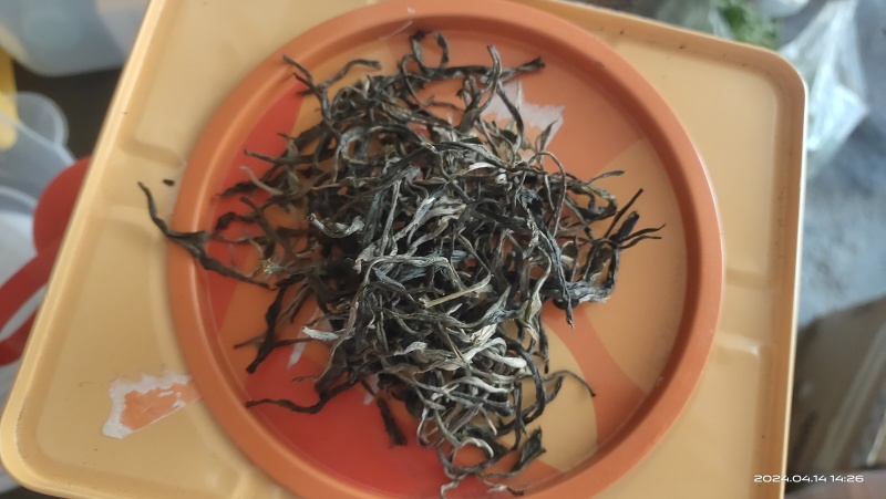 高黎贡山云雾茶自家茶园欢迎联系各品质都有价格可商量