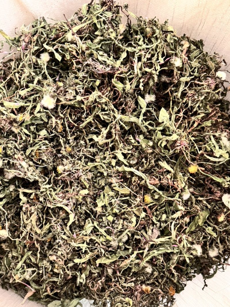 公英高含量