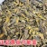 黄丝郁金正品金丝郁金新货无硫四川道地郁金犍为黄郁金