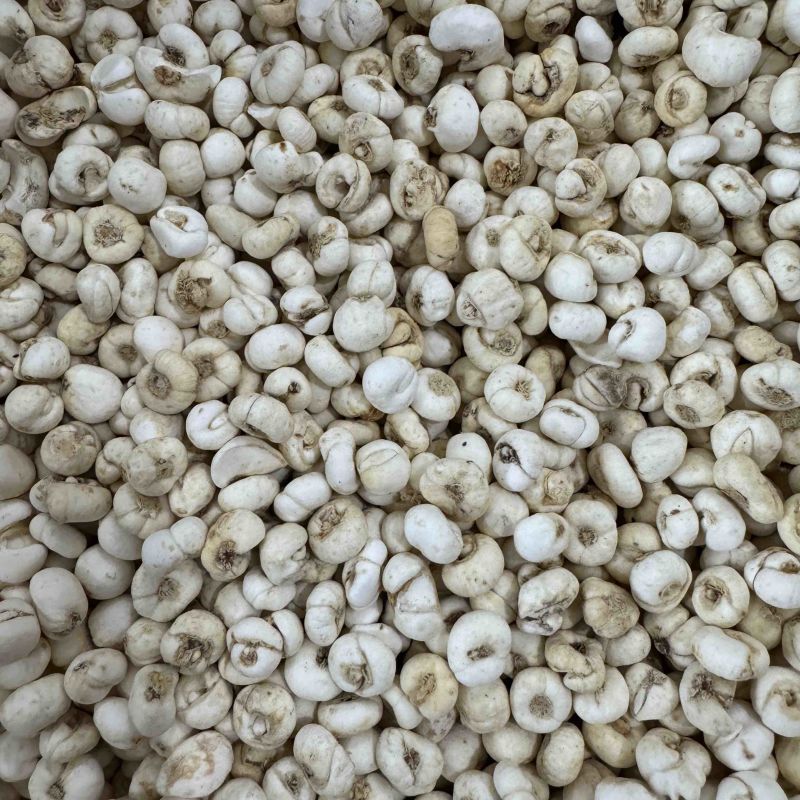 贝母，无硫，0.8山东弘舜中药材批发零售，欢迎下单……