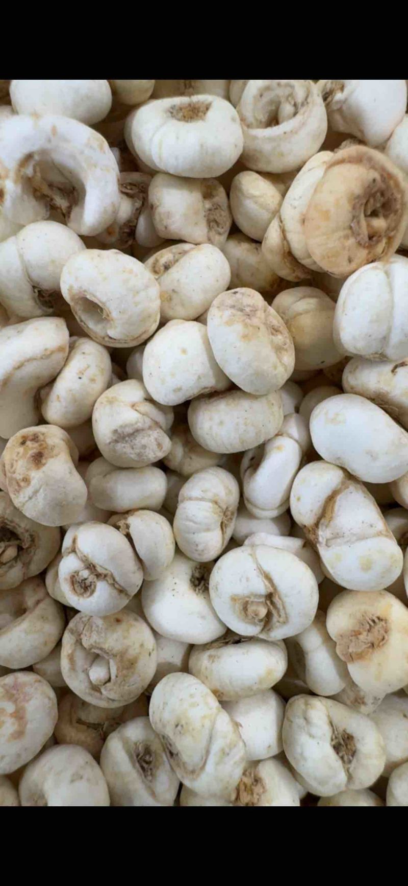 贝母，无硫，0.8山东弘舜中药材批发零售，欢迎下单……