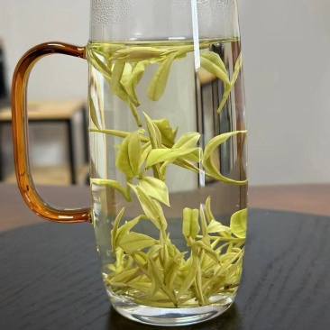 安吉白茶黄金芽奶白茶250g包邮浙江安吉