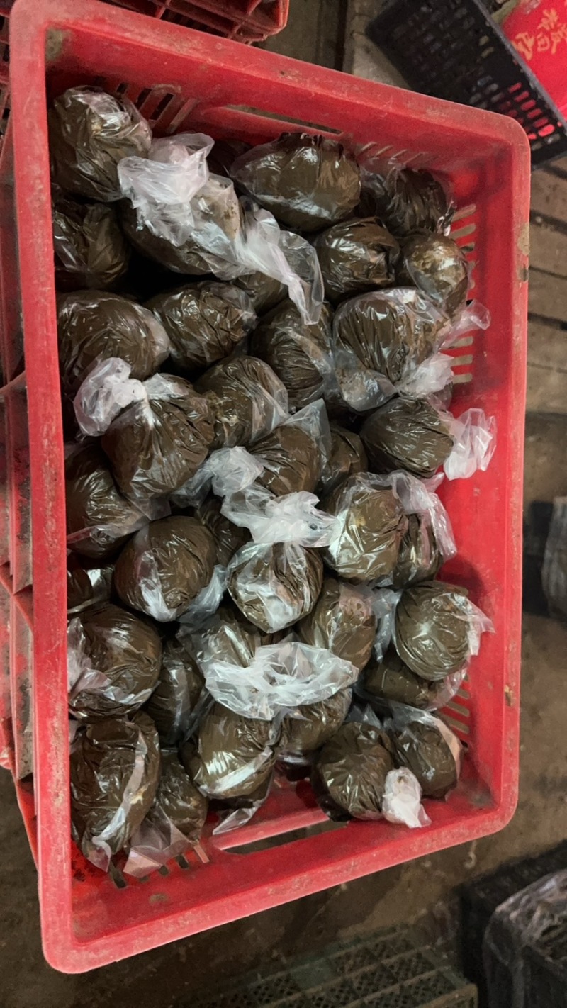 河北鸭蛋，新鲜带泥散黄腌蛋一手货源量大价优