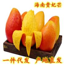 海南贵妃芒芒果新鲜9斤装水果当季新鲜采摘多汁香甜，