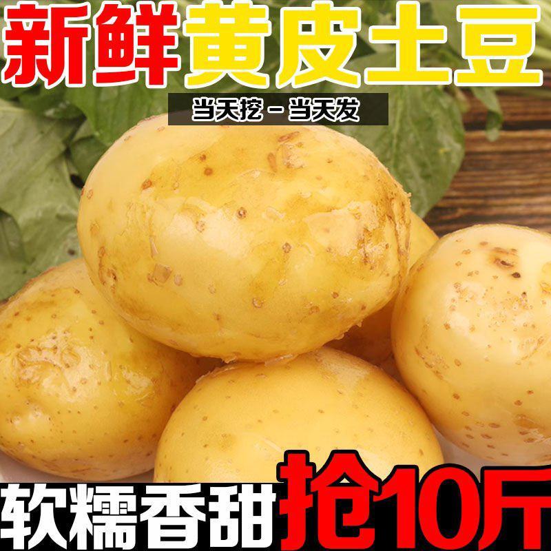 产地直供新鲜土豆，低价风暴来袭，老板速来抢“鲜”！