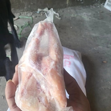 36只西装鸡