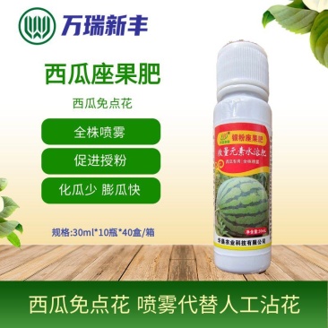 西瓜银粉座果肥西瓜免点花西瓜座果王提高座果代替蘸花药
