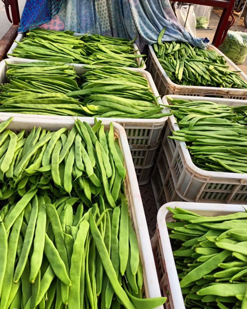 扁芸豆，优质货，电商货，货源充足，来就行