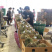 空运树熟榴莲工厂、液氮榴莲工厂、金枕和其它品种