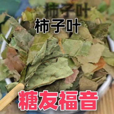 正品霜后新货柿子叶中药材柿树叶罐装整叶自然晾晒无硫干净无
