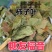 正品霜后新货柿子叶中药材柿树叶罐装整叶自然晾晒无硫干净无