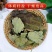 正品霜后新货柿子叶中药材柿树叶罐装整叶自然晾晒无硫干净无