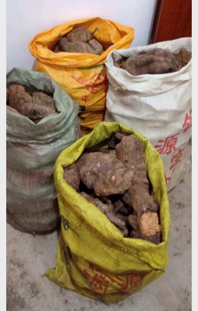 何首乌，新鲜货包邮，20斤起批包邮