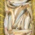 新鲜广西塘鲺鱼、当地直供，3万斤
