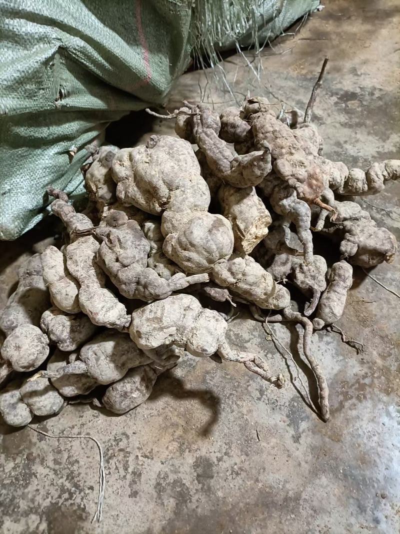 何首乌，新鲜货包邮，20斤起批包邮