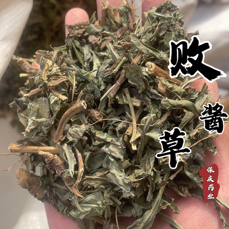 败酱草发货前过筛北败酱草实物拍摄败酱保庆药业