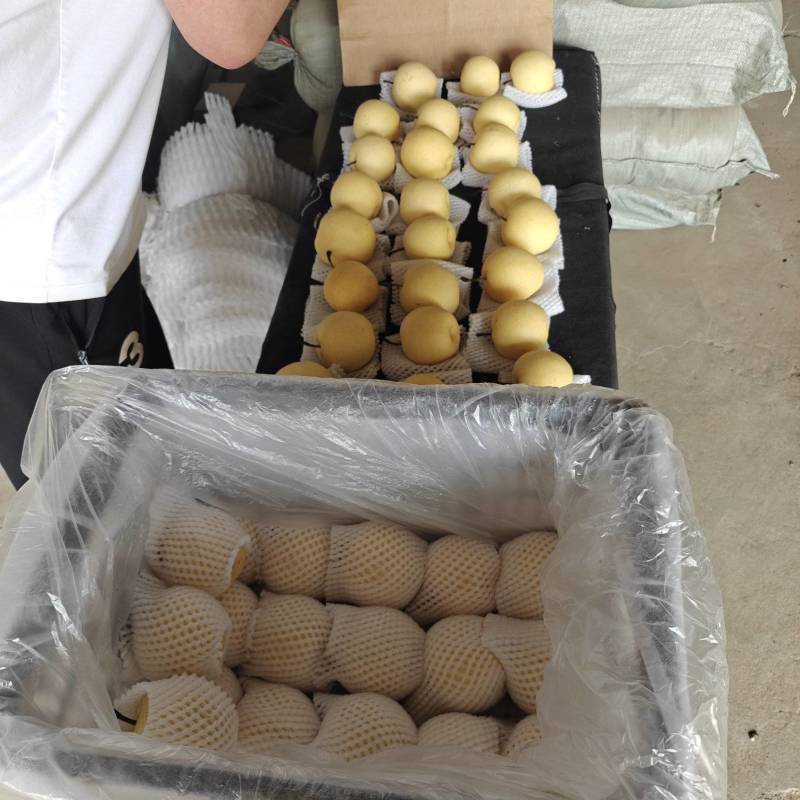 推荐框装精品皇冠梨净果产地直发价格优惠欢迎来电