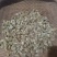 辛夷花，甘肃产地，全干货，干净