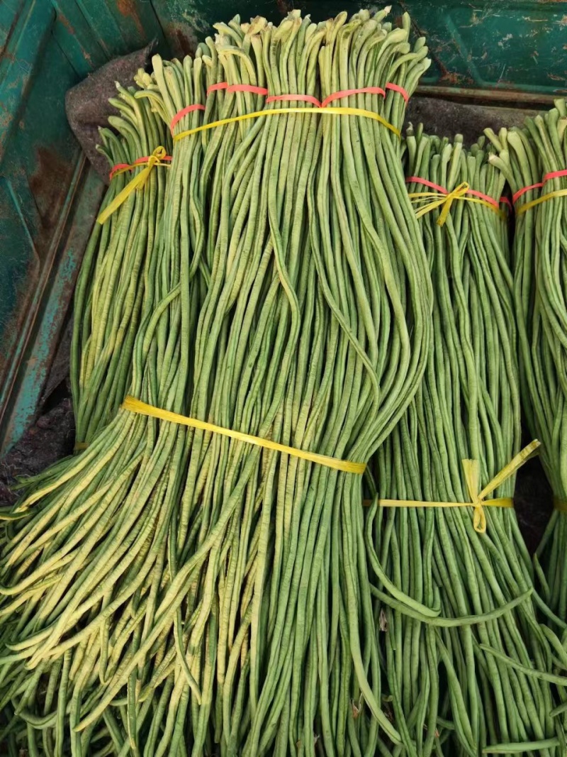 长豆角大量有货，质量非常好，货源稳定，要的老板联系