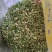 洋槐花鲜槐花现摘现发