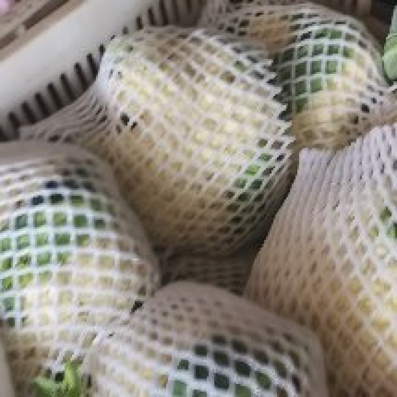 白面有机花大量供应，质量非常好，货源稳定