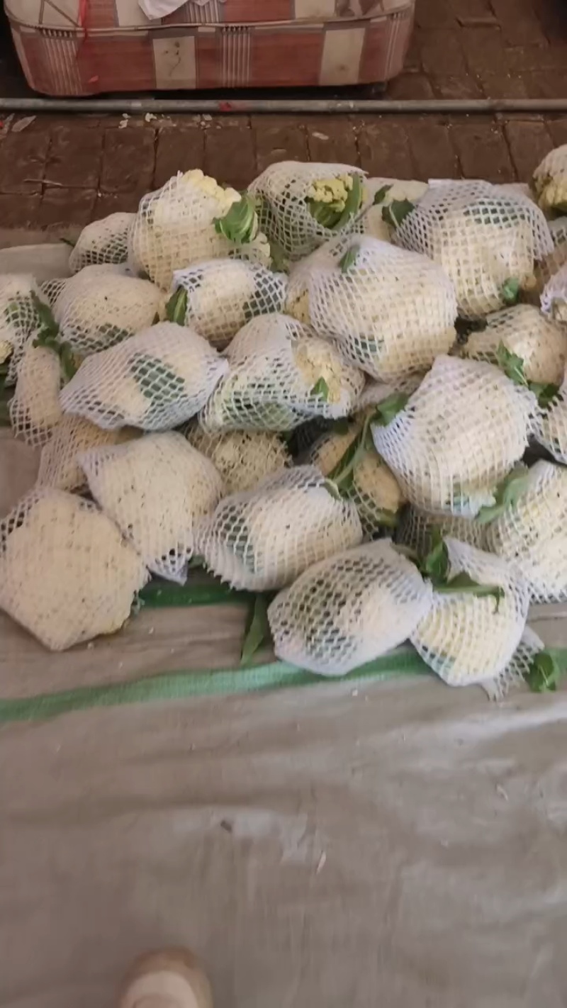白面有机花大量供应，质量非常好，货源稳定