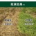 新店促销立白、汰渍洗衣粉5O8克家用去污强福利劳保洗衣粉