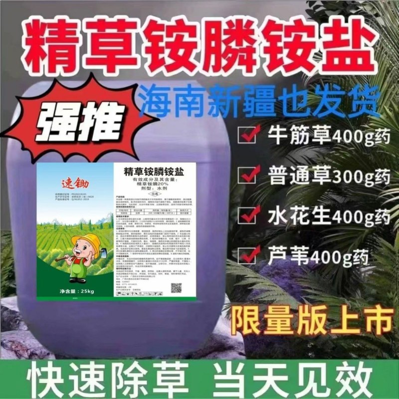 新店促销立白、汰渍洗衣粉5O8克家用去污强福利劳保洗衣粉