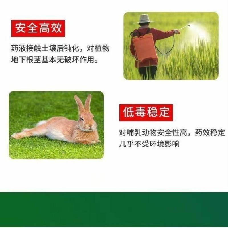 新店促销立白、汰渍洗衣粉5O8克家用去污强福利劳保洗衣粉