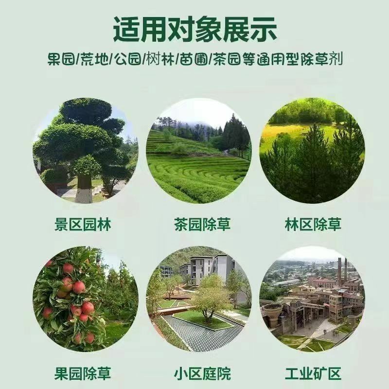 新店促销立白、汰渍洗衣粉5O8克家用去污强福利劳保洗衣粉