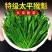 【全店已售200万】太平猴魁茶叶新茶明前特级安徽黄山绿茶
