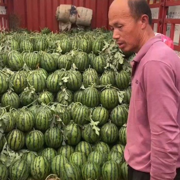 甜王西瓜大量上市，货源稳定，价格不贵，要的老板联系