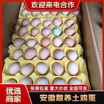 安徽土鸡蛋初生蛋，一斤15个左右规格齐全量大从优