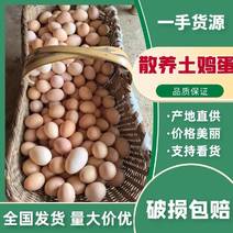 散养土鸡蛋11.12个左右，货源充足全国发货