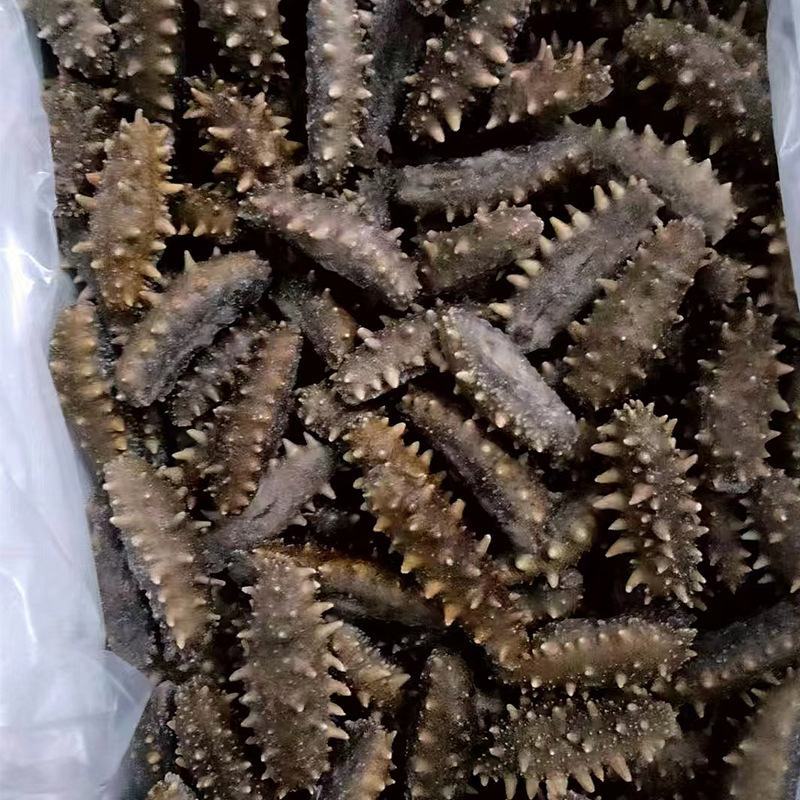 源头厂家即食海参批发鲜食海参辽刺参海参礼盒批发