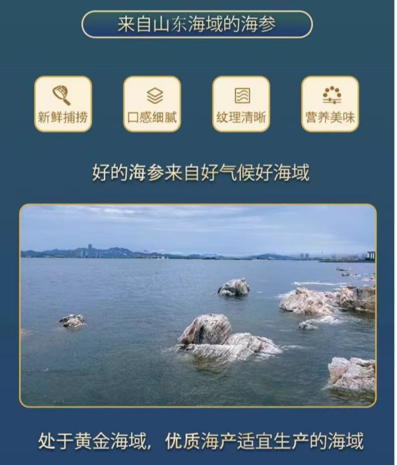 源头厂家即食海参批发鲜食海参辽刺参海参礼盒批发