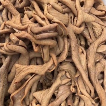 卤牛肠熟食开食即吃卤味熟牛肠厂家直销量大从优