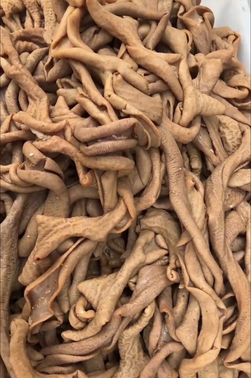 卤牛肠熟食开食即吃卤味熟牛肠厂家直销量大从优