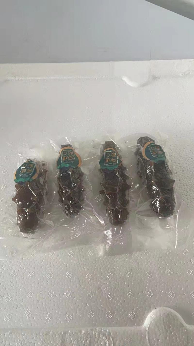 源头厂家即食海参批发鲜食海参辽刺参海参礼盒批发