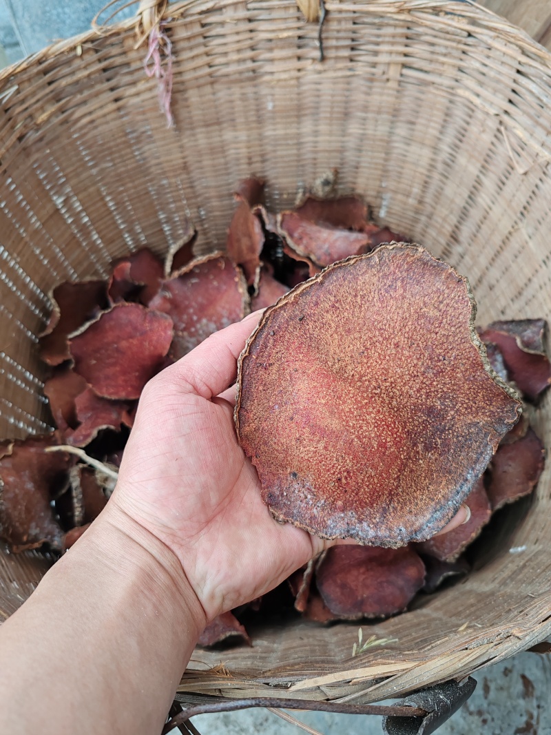 薯莨，红药子，干货