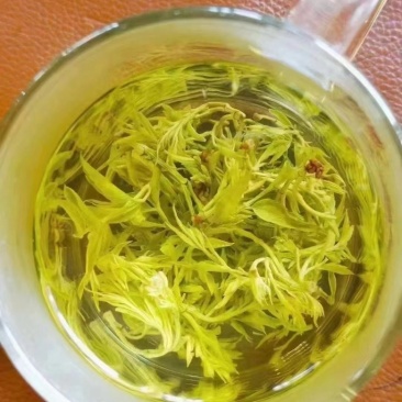 莓茶