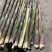 甜竹笋大量上市场带壳批发0.8一斤上车价，都是精品货