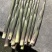 甜竹笋大量上市场带壳批发0.8一斤上车价，都是精品货