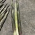 甜竹笋大量上市场带壳批发0.8一斤上车价，都是精品货