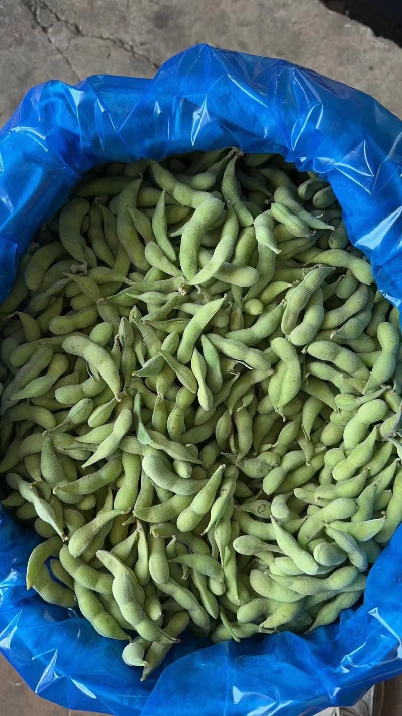 翠绿宝