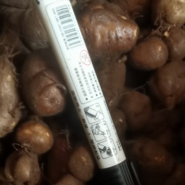 一年四季有三叶青鲜果供应，欢迎新老客户联系！